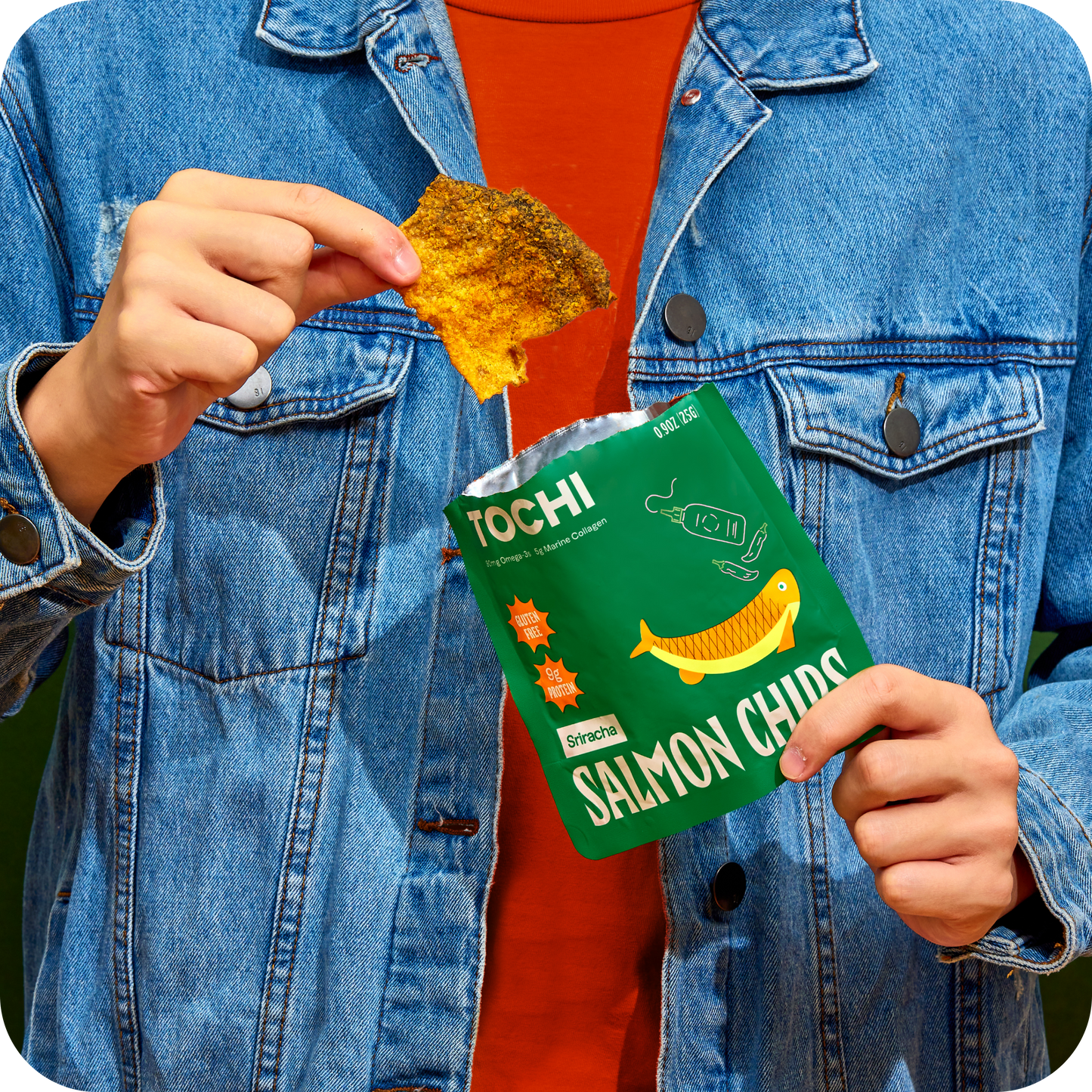 Salmon Chips