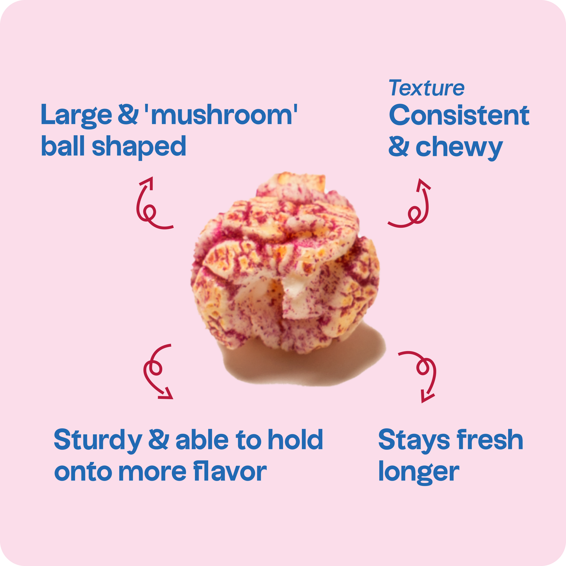 A large single bulbous popcorn fills the center of the frame. Shape and size gives it a great consistent & chewy texture, allows it hold onto more flavor and stays fresh longer